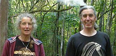 Lady Oak Wood