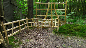 Lady Oak Wood - Hurdles