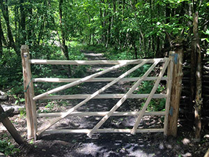 Lady Oak Wood - Hurdles